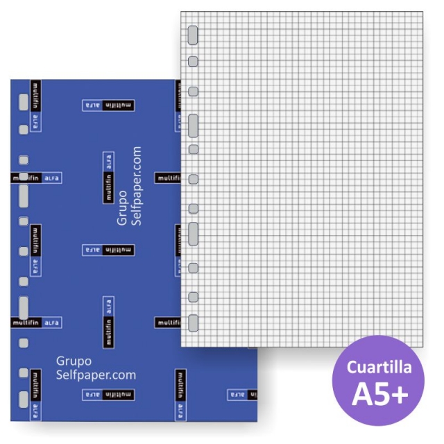 Comprar Recambio 11 anillas multifin 3002 cuartilla vertical Cuadros