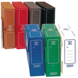 Archivador Definitivo Lider Plastico F