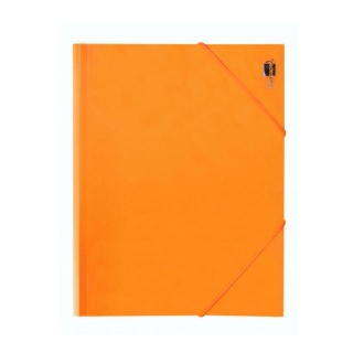 Carpeta Liderpapel gomas solapas, Liderpapel