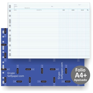 Recambio Multifin 3006 folio