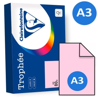 Folios papel Din A3 color