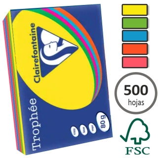 Papel Din A4 colores vivos surtidos  Clairefontaine 1704SC