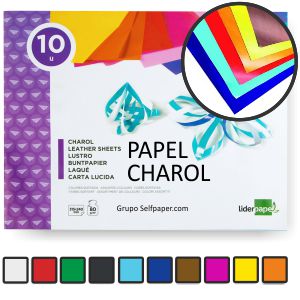 Block de papel charol, 10 hojas colores surtidos Liderpapel