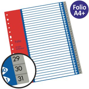 Separador numérico numeros mensual 1 a 31 folio multitaladro
